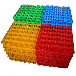 Factory directly sale cheap plastic egg tray made by PE plastic