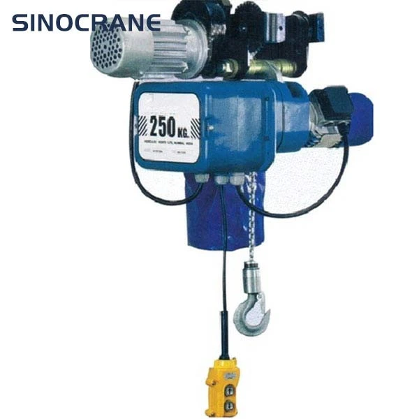 Factory Supply 10 Ton 20 Ton Electric Chain Hoist Crane Lifting Hoist With Motor Trolley