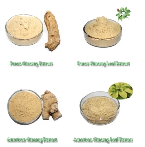 Factory Supply natural panax ginseng Extract Powder ginsenoside 80% CAS  41753-43-9 with best price