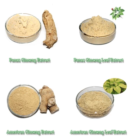 Factory Supply natural panax ginseng Extract Powder ginsenoside 80% CAS  41753-43-9 with best price