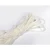 Import Factory Wholesale Face Mask Elastic Rope/Cord/String/Earloop/Ear Loop/Elastic Ear Strap from China