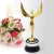 Import Factory Wholesale Metal Trophy Oscar Trophy Souvenir for Name Engraving from China