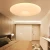 Factory Wholesale SAA CB flush mount decorative indoor European Nordic plafon design slim LED Ceiling Light for home house