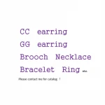 Famous Brand Designer Letter GG CC Crystal Rhinestone Hoop Earrings Necklace