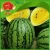 Import farm wholesale red yellow watermelon delicious melon in hot season from China