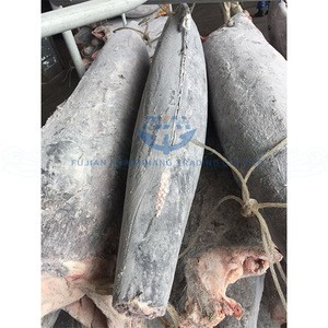 Fish Product Type and Piece Shape Frozen Black Marlin fish
