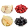 Freeze Dry Food Companies Freeze Drying Fruit Products
