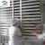 Freeze drying machine for pet food processing vaccum freeze dryer with CE certificate