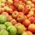 Import FRESH APPLES _ FRESH APPLE FRUITS from USA