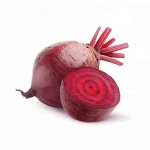 Fresh Beetroot / Beetroot In India / Wholesale Beetroot In India
