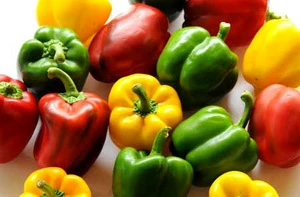 Fresh Bell pepper color capsicums for sale