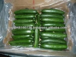 Fresh Cucumber, Fresh Vegetables Green Cucumber for sale