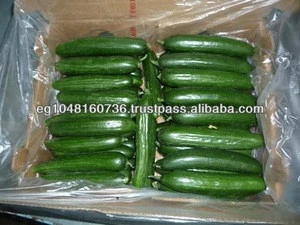 Fresh Cucumber, Fresh Vegetables Green Cucumber for sale
