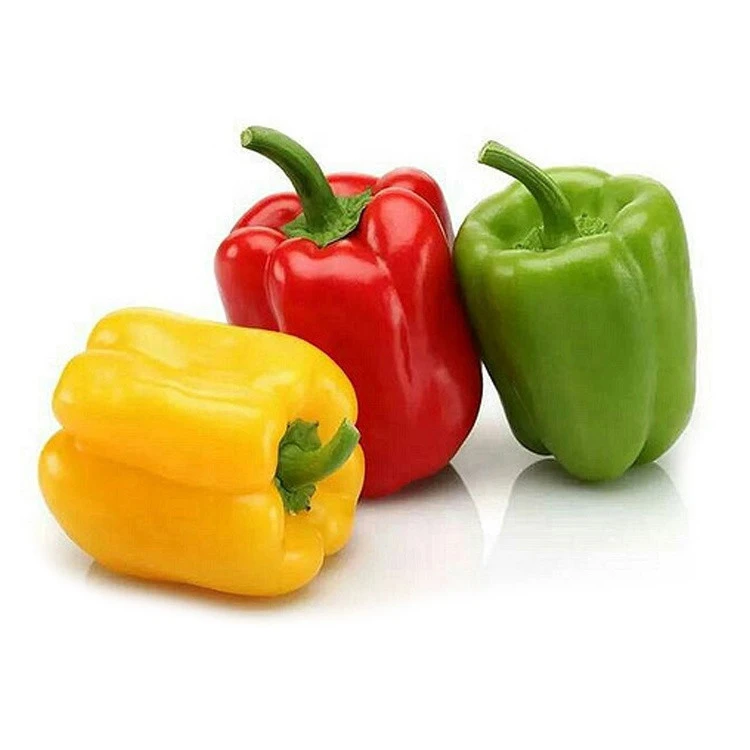 fresh green yellow red chili bell pepper