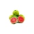 Import Fresh Guava Fruit from India