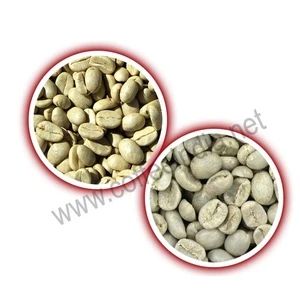 Fresh Indian Arabica Coffee Beans Price
