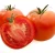 Import Fresh juicy Tomatoes for sale from South Africa