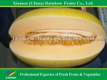 Fresh melon