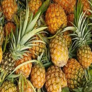 Fresh pineapples
