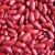 Import Fresh Recent Year South Germany White Kidney Beans from South Africa