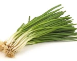 FRESH SCALLIONS / FRESH AND DRIED