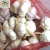 Import Fresh white garlic 5 cm up hot sale from China