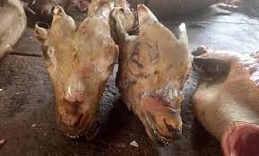 Frozen Goat head meat,goat intestine for sale
