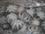 FROZEN WHOLE OCTOPUS FOR SALE NOW