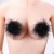 Import GA11 Sexy Feather Women Lingerie Breast Bra Nipple Cover Pasties Stickers Petals 6 Colors Intimates Accessories from China