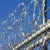 Import galvanized concertina razor barbed wire price in bangladesh from China