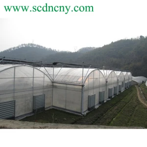 Good Quality  Garden Greenhouse Plastic Tunnel Greenhouse for Sale