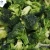 Import Good quality lowest prices fresh frozen broccoli from China