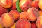 Good Taste Fresh Names of Wholesale Peaches Fruits with High Quality Ready