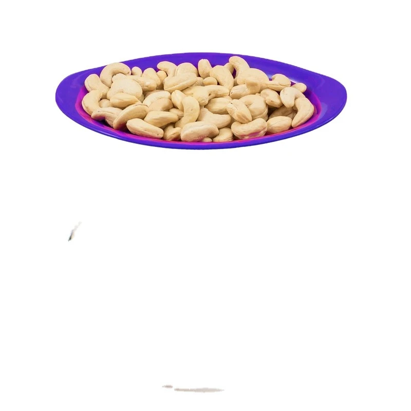 Grade A premium quality of the variety  raw cashew/ 100% organic healthy raw cashew nut