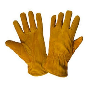 Great Quality Competitive Price Hot Design Soft Driver China Gloves