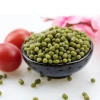 Green Mung Beans vigna beans