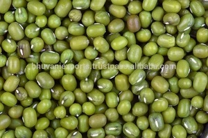 Green Mung Beans!