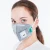 Import Grey Activated Carbon Folding Halfpiece Respirator with Adjustable Headband from China