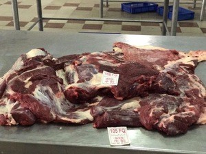HALAL Quality Indian Supplier frozen beef price