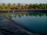 HDPE geomembrane price/malaysia pond liner/hdpe pond liner phillipenes