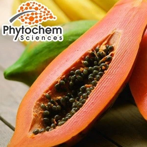 Herbal import made in factoryred lady taiwan papaya seed powder extract