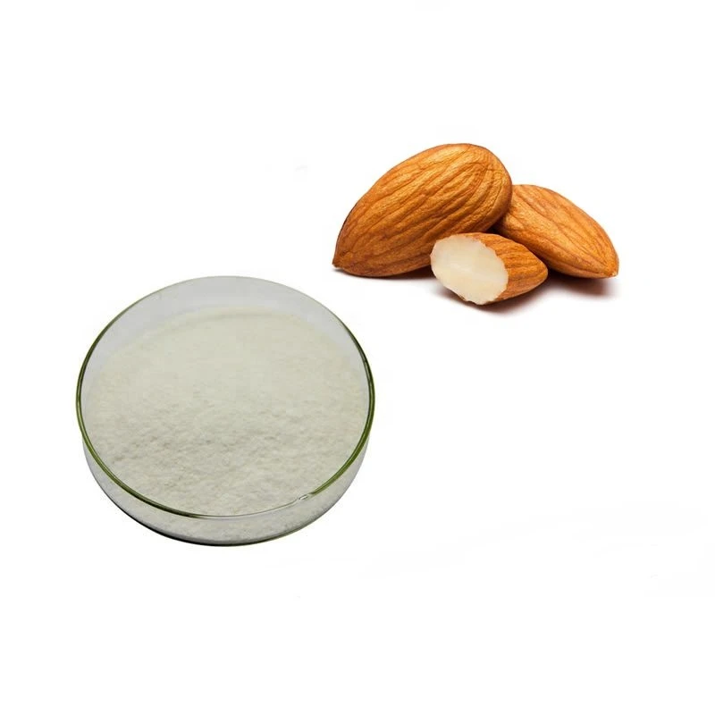 High purity natural bitter apricot kernel extract 98% amygdalin Vitamin B17 powder