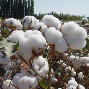 High quality cotton fiber,bleached cotton fiber for sale cheap