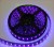Import High Quality Flexible 365 395nm Ultraviolet SMD5050 Copper UVC LED Strip from China