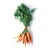 Import High quality Fresh Carrot price from Ukraine