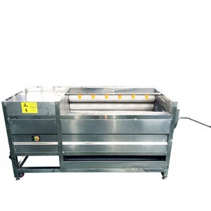 High quality frozen fruit &amp; vegetable processing production line machines/frozen lotus root processing line plant