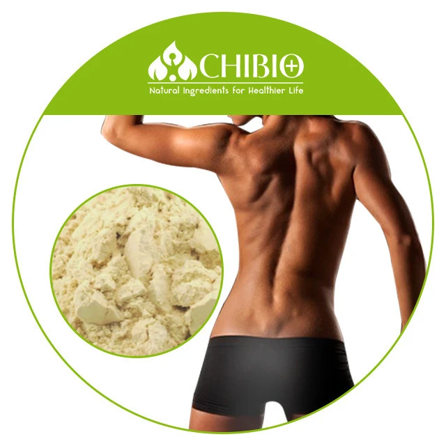 High Quality ISO KOSHER Food Grade Factory Supply Pea Protein Isolate for Kidney Improvement Muscle Building