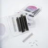 High Quality Narrow Fan Lashes 9D Premade Volume Narrow Fans Classic Handmade Eyelash Extensions from Vietnam CC/DD Curl