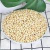 High Quality Refined 950 Gr  Siberian Pine Nut Kernels for Wholesale