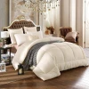 Home Hotel Decor Soft Down Alternative Microfiber Quilted Comforter